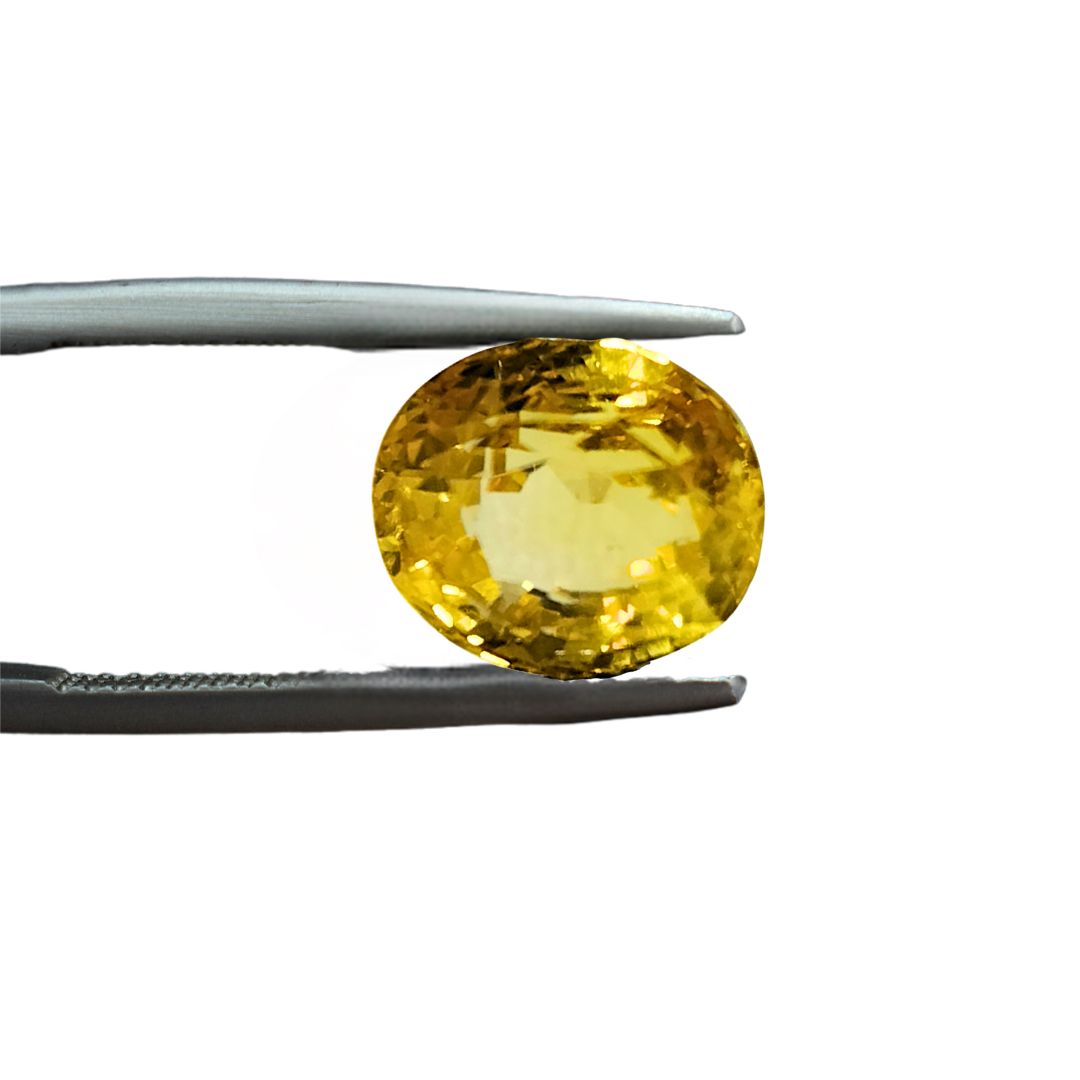 Yellow sapphire 7.67 Carat