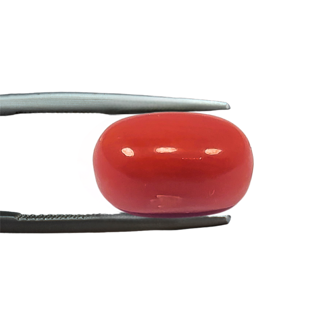 Coral 2.175 Carat