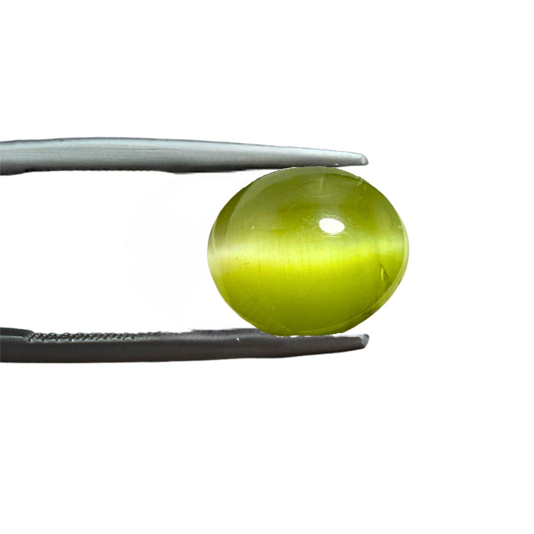 Cats Eye 7.85 Carat