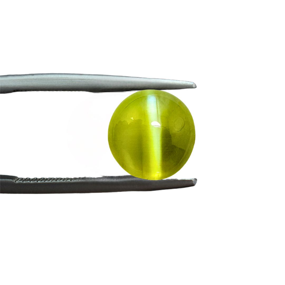 Cats Eye 4.05 Carat
