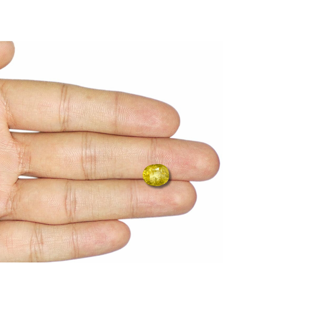 Yellow sapphire 5.55 Carat