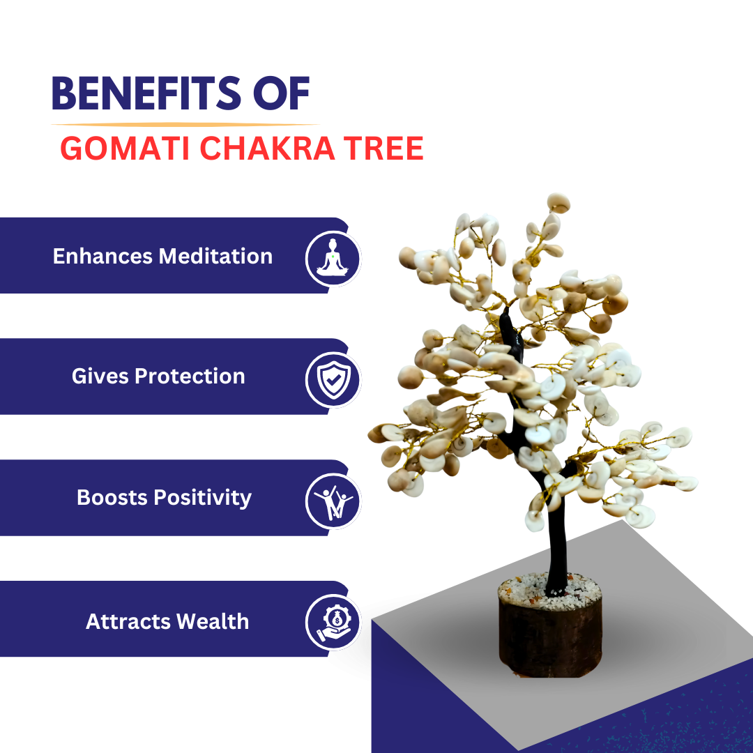 Benefits of Gomati Chakra Tree 