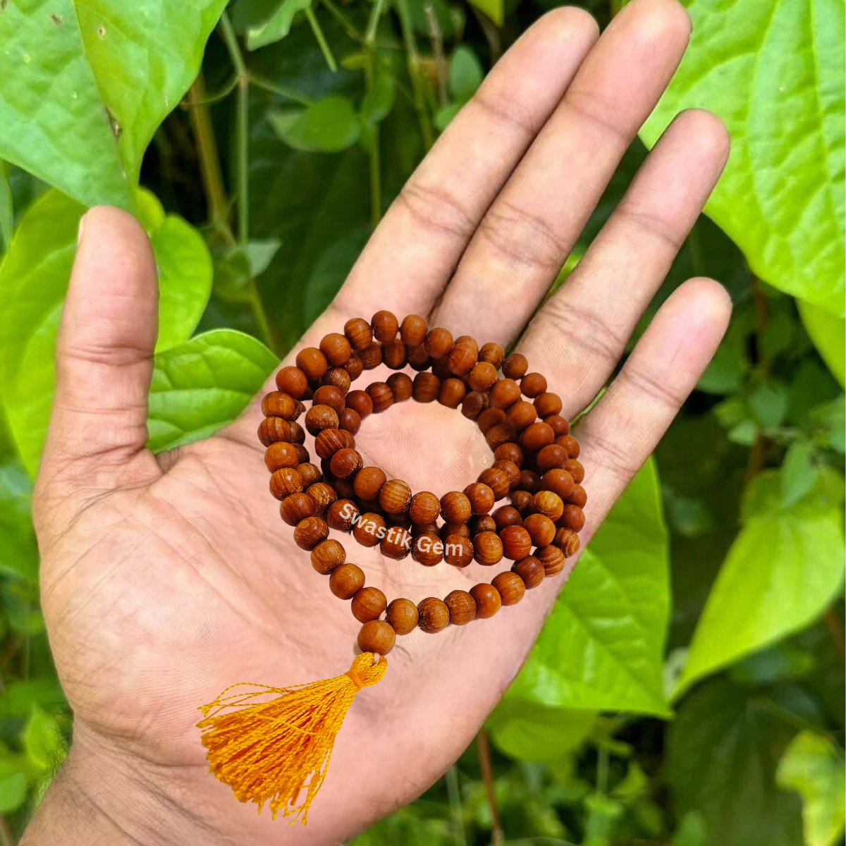 Uses of Deva Daru Mala