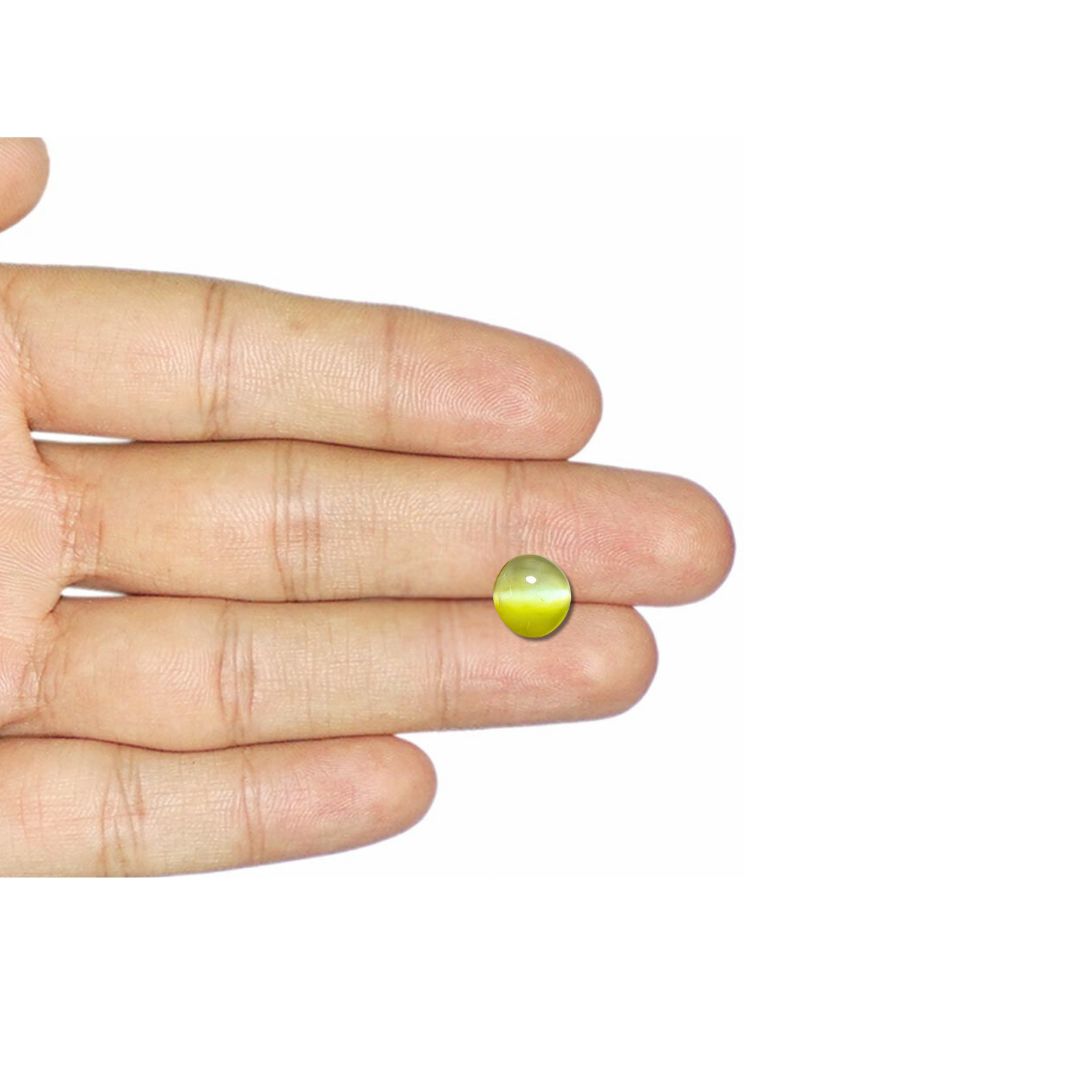 Cats Eye 6.05 Carat