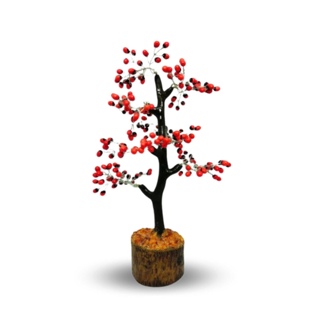 Guntu Tree Red Gunja Tree – Swastik Gem